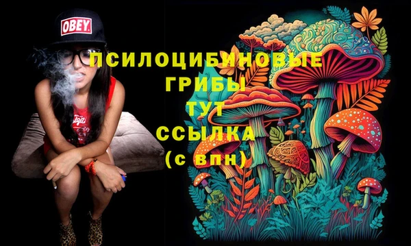 спайс Алексеевка