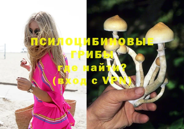 ГАЛЛЮЦИНОГЕННЫЕ ГРИБЫ Армянск