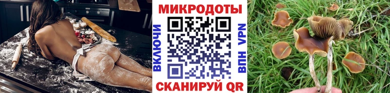 Галлюциногенные грибы ЛСД  OMG ССЫЛКА  Кологрив 