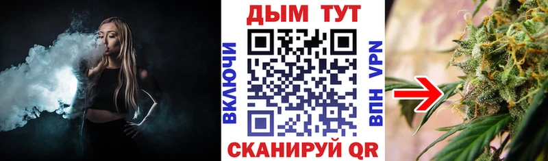 Марихуана сатива  Кологрив 